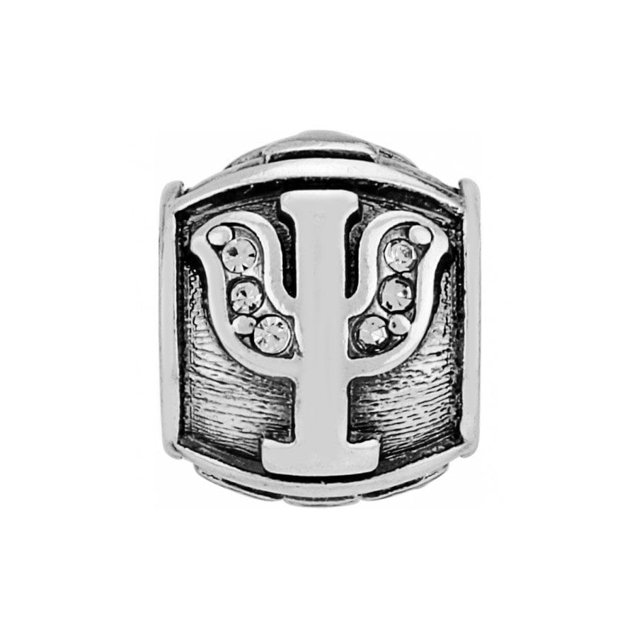 alpha-psi-bead__silver_0_8051a6c6-5318-41e4-b566-0cd64a341d01