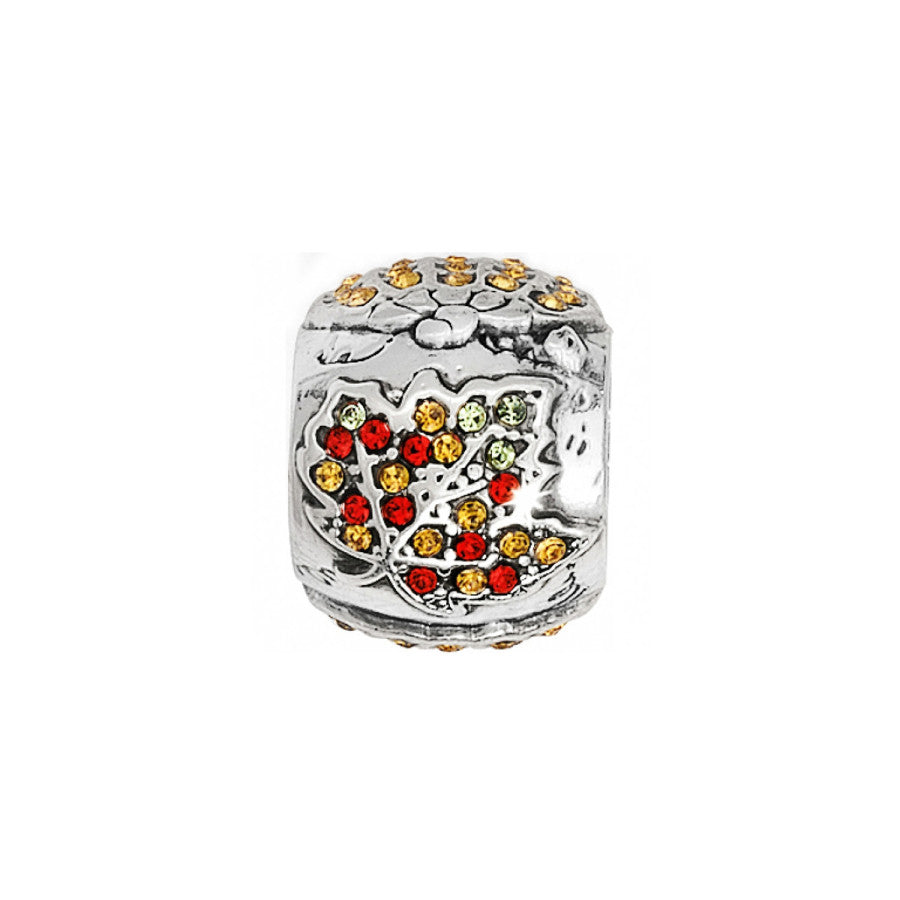 autumn-spirit-bead__silver-multi_0