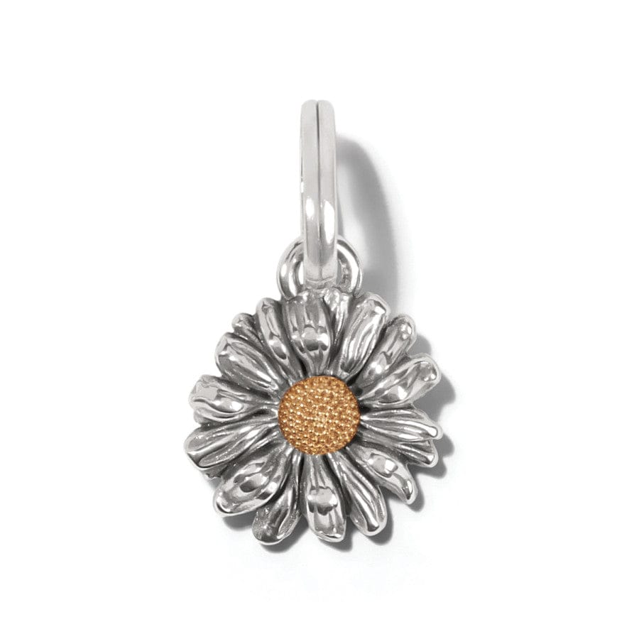 daisy-dee-charm__silver-gold_0