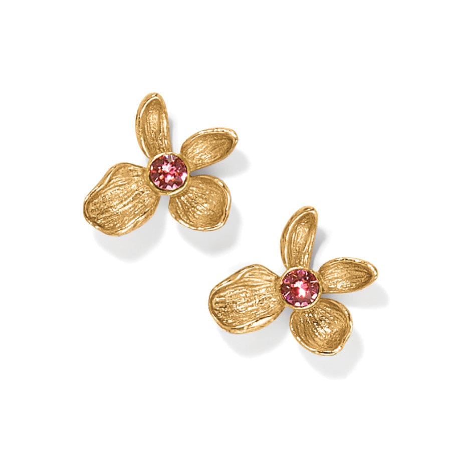 everbloom-jardin-golden-post-earrings__gold-pink_0_96fa35e9-366a-4745-9cb5-9909d2bbf504