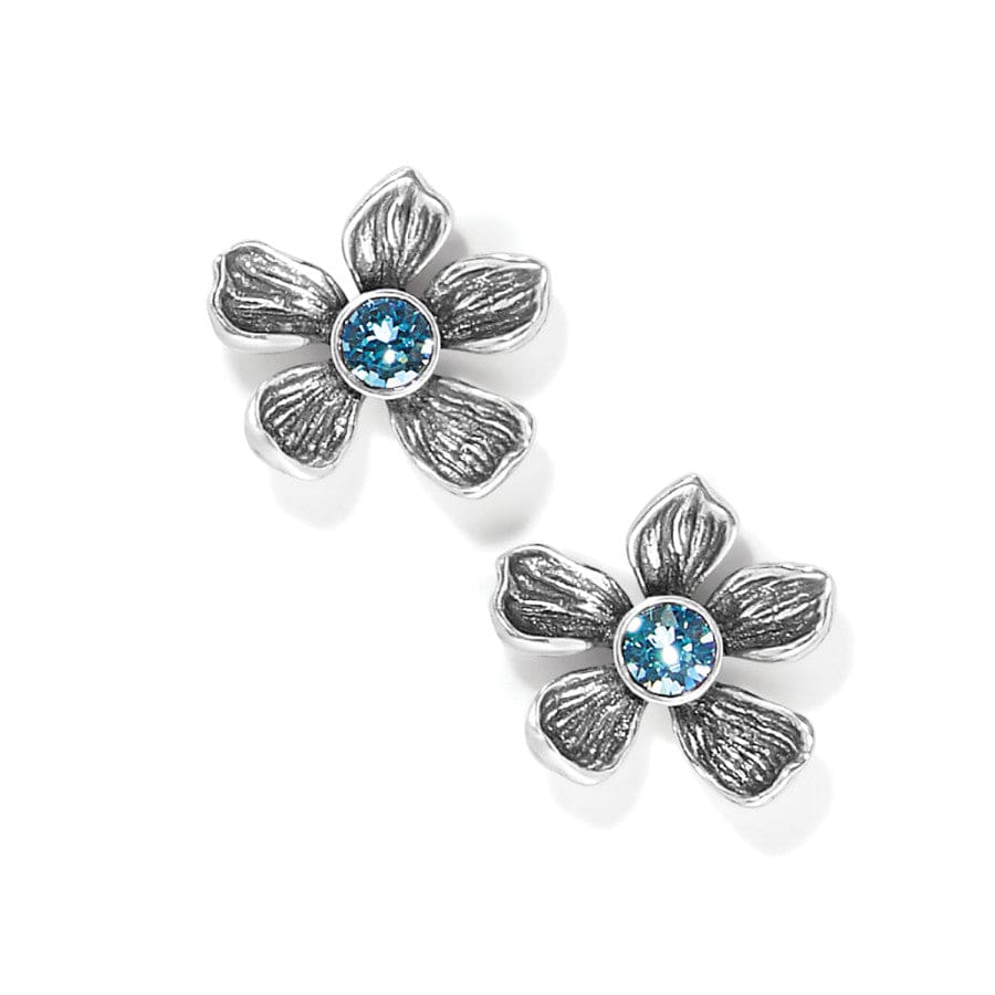 everbloom-jardin-post-earrings__silver-blue_0