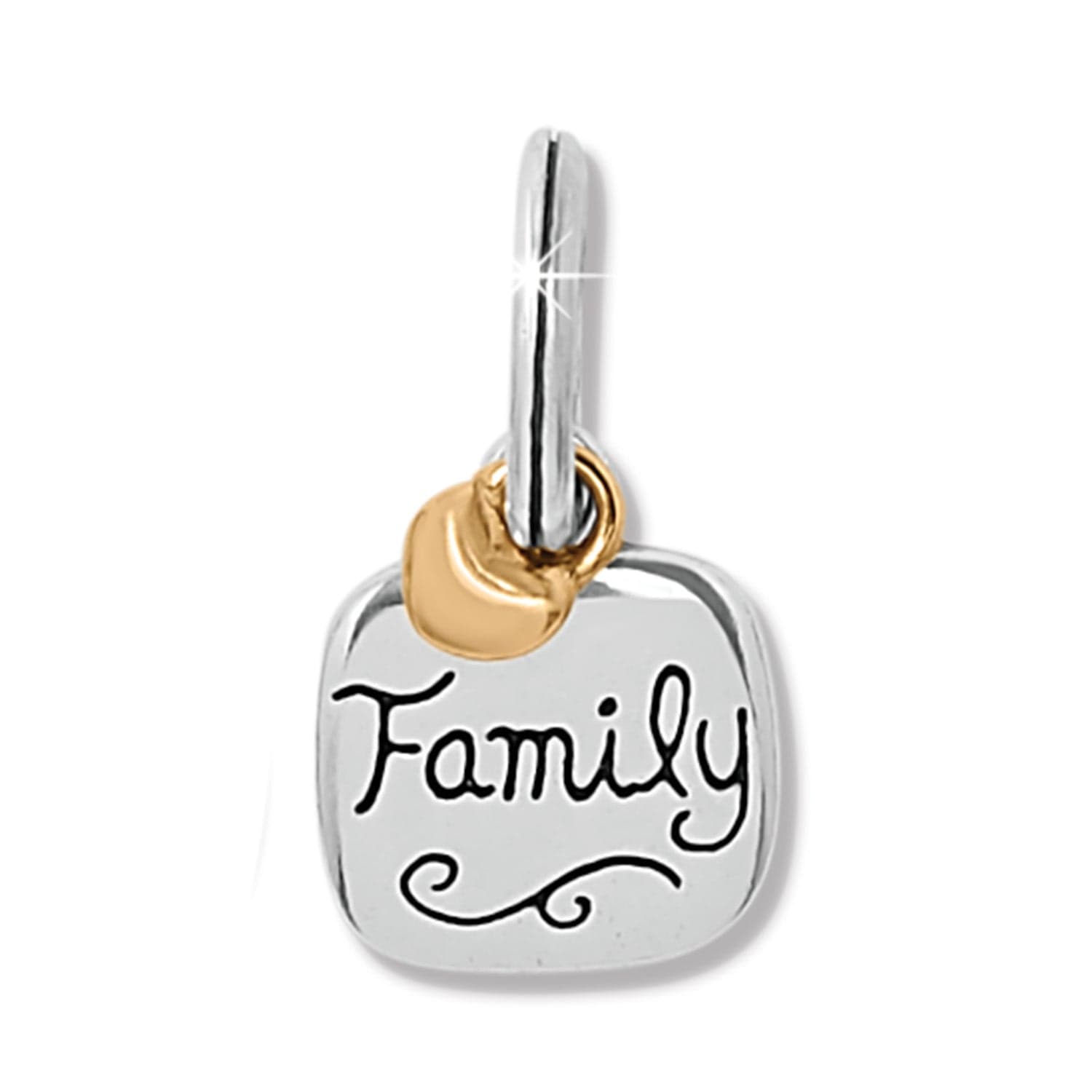family-love-charm__silver-gold_0