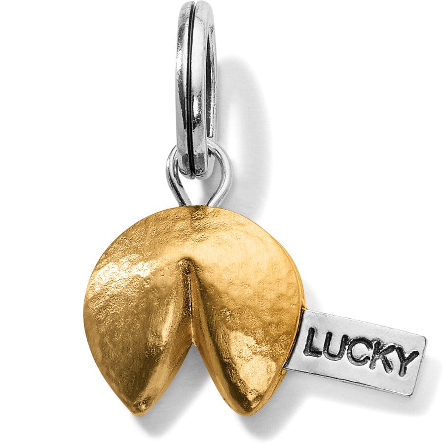fortune-cookie-charm__silver-gold_0_9e462c5d-9295-4497-8208-55e4e7c81978