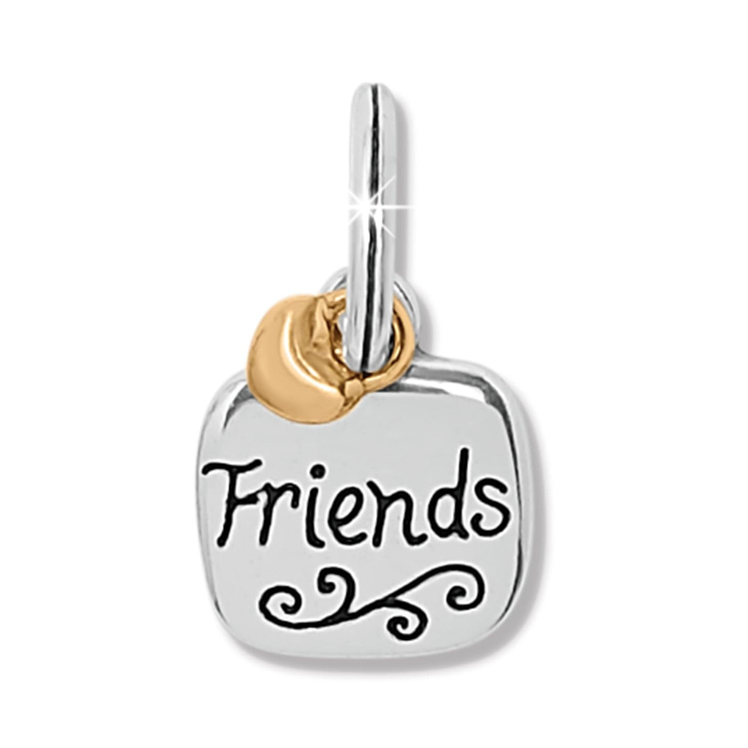 friends-forever-charm__silver-gold_0