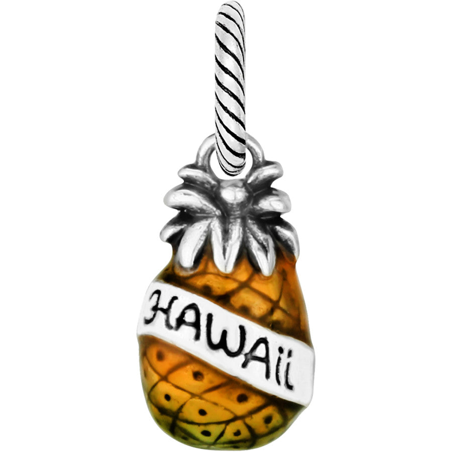 hawaii-charm__silver-gold_0_7b4d6b4d-004c-4dbc-90d5-3ef9488c3812