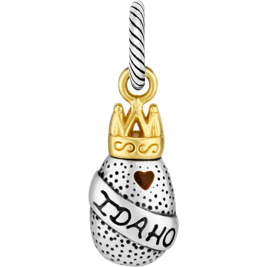idaho-charm__silver-gold_0_4a39a44e-f981-4c8c-974a-f0a9dbf34acf