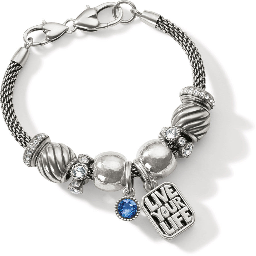 live-your-life-adventure-bracelet__silver-blue_0_2ef58506-3f37-46dc-bfda-c270245ef126