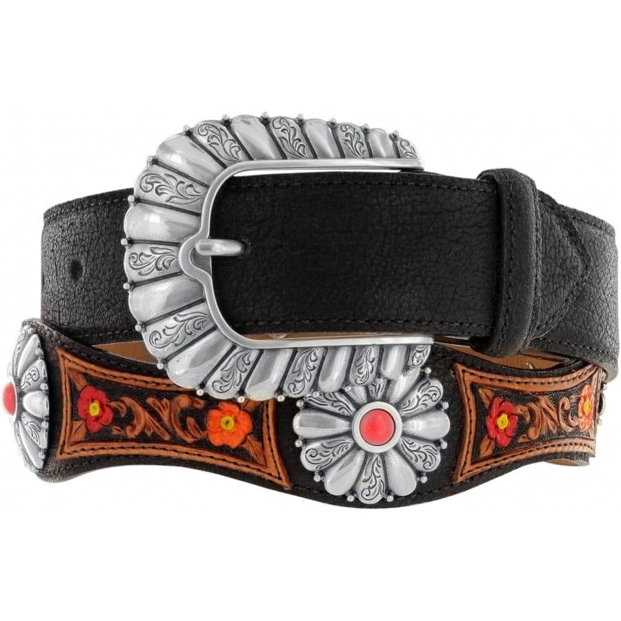 native-beauty-belt__black_0