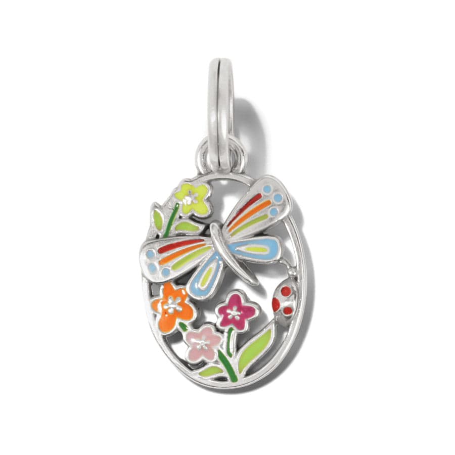 nature-s-charms-dragonfly__silver-multi_0