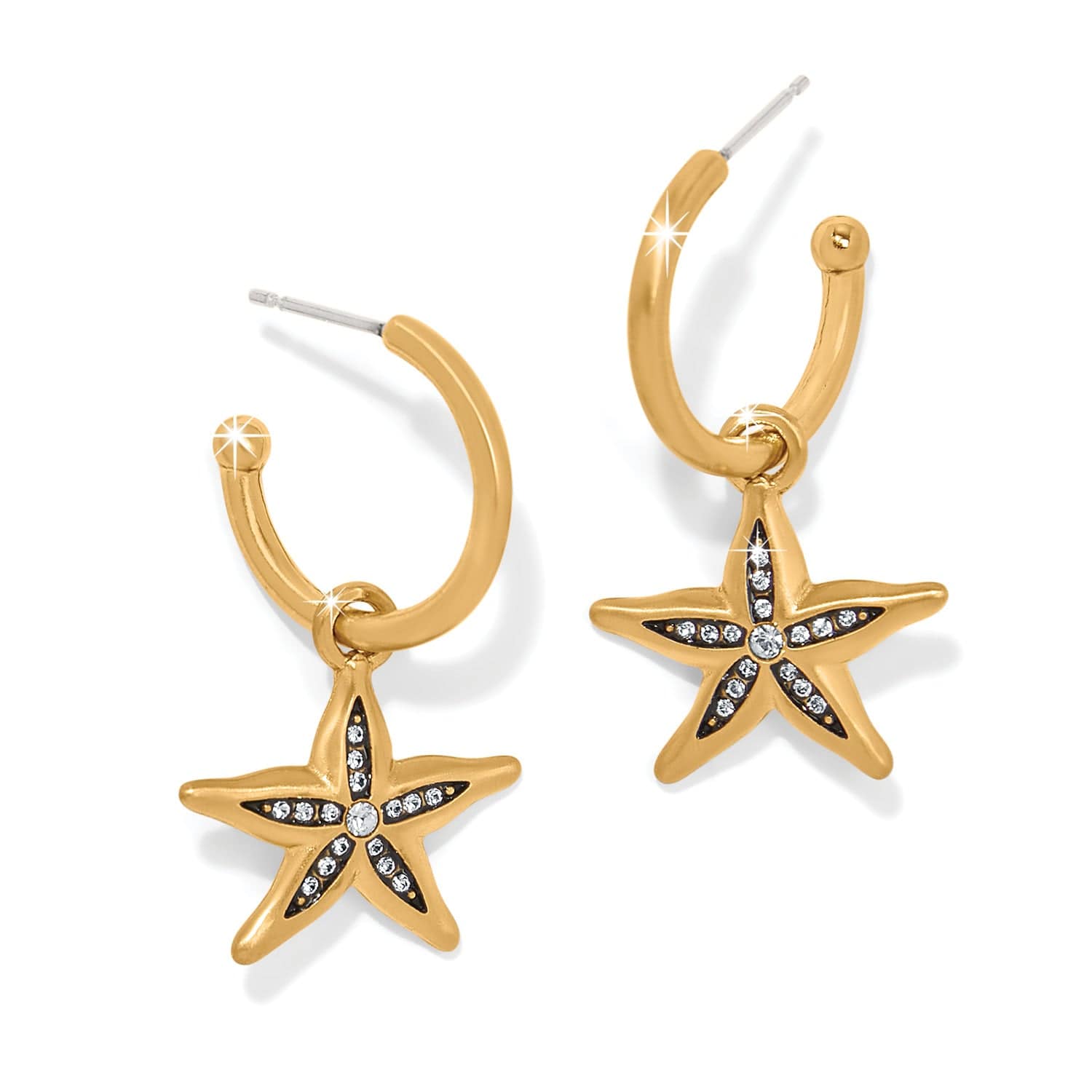 twilight-waters-starfish-hoop-earrings__gold_0