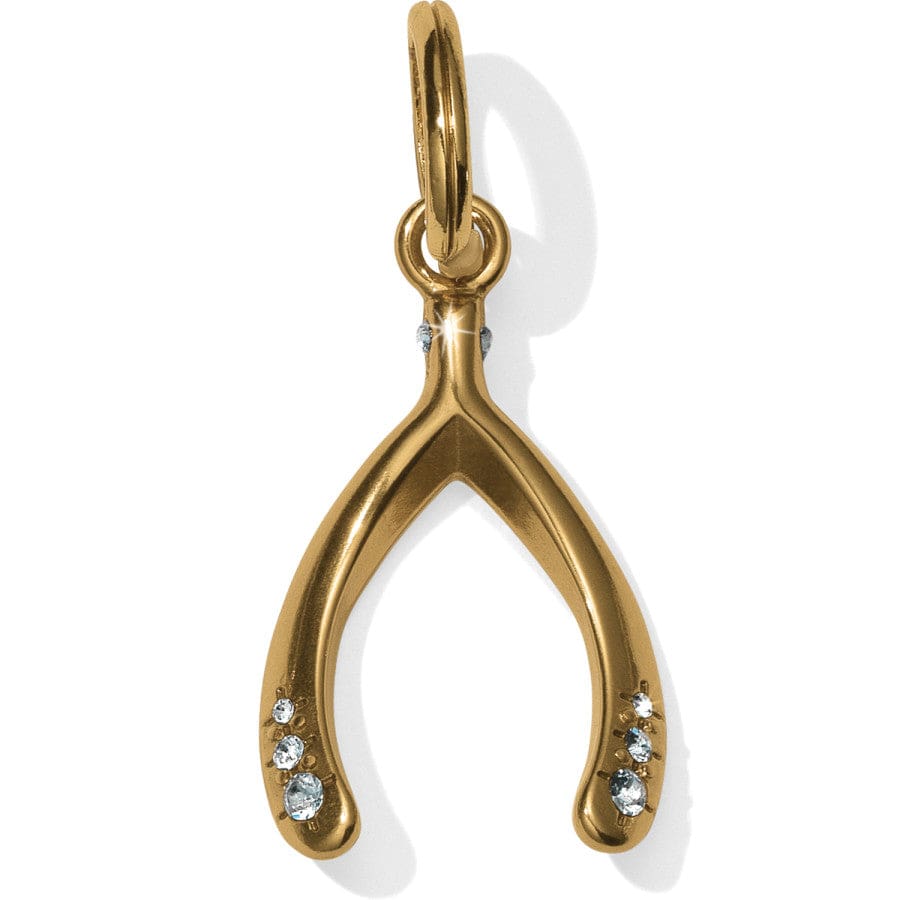 wishbone-amulet__gold_0_133e1196-18fb-466a-b365-65824198bae1